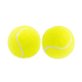 Набор теннисных мячей W102TB